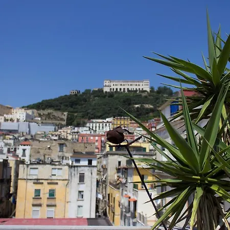Sui Tetti Di 3* Napoli